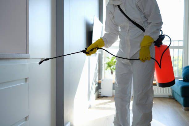 Best Mold Odor Removal Services  in Sedro Woolley, WA